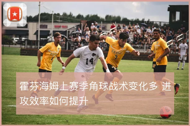 霍芬海姆上赛季角球战术变化多 进攻效率如何提升